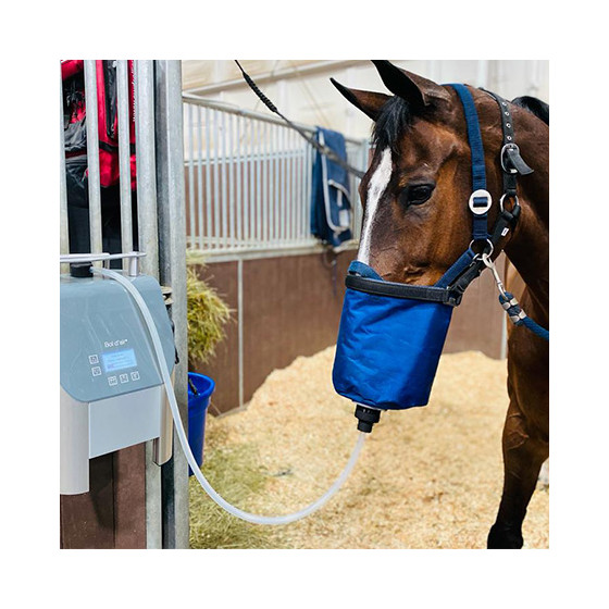 Bol d'air Equin