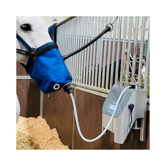 Mask and magnetic connector